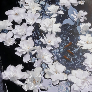 18禁丝瓜🔞🔞啪啪下载
